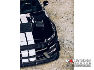 Ford Shelby GT350 Mustang Carbon Fiber Hood - Dry